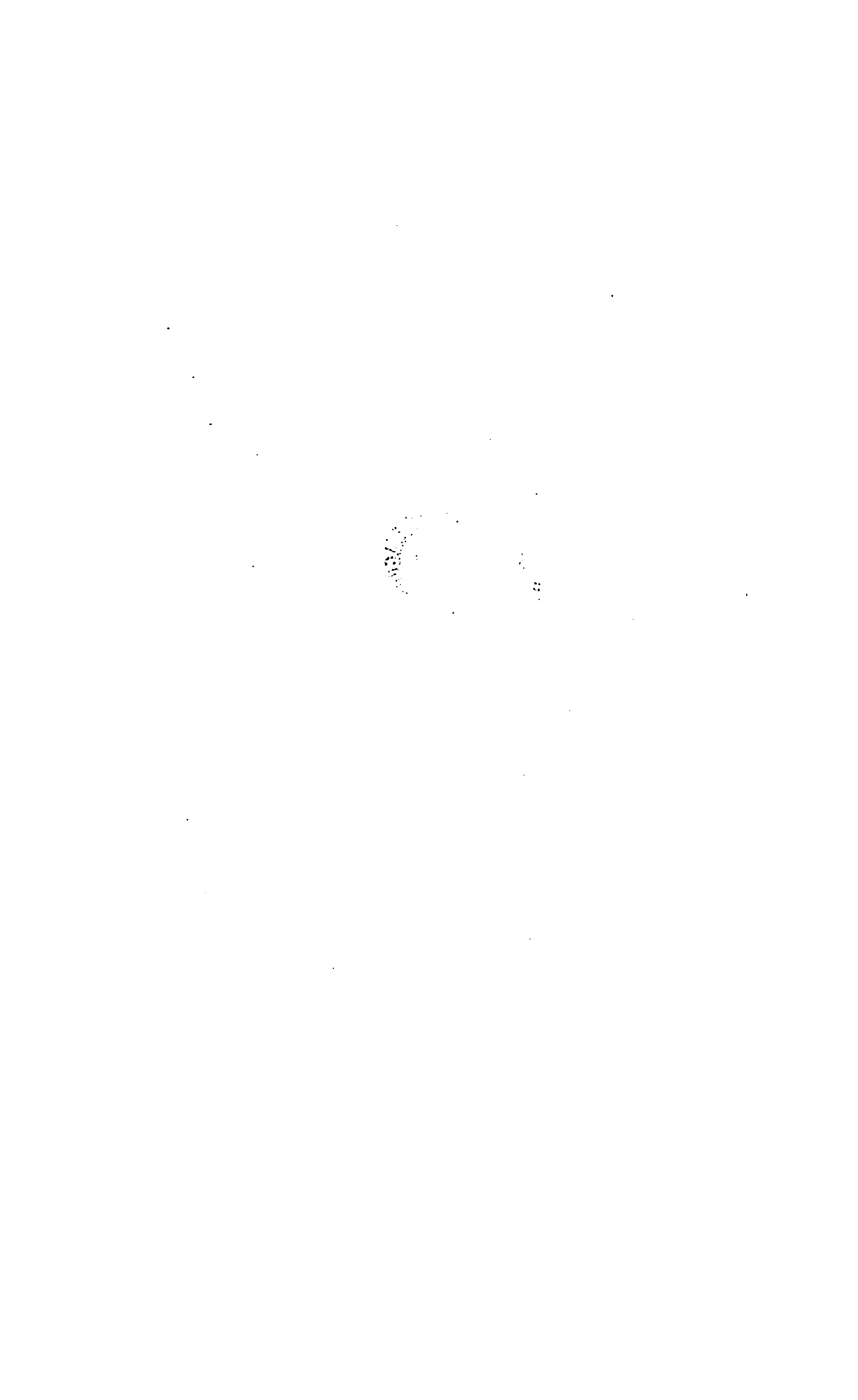 صفحة 1