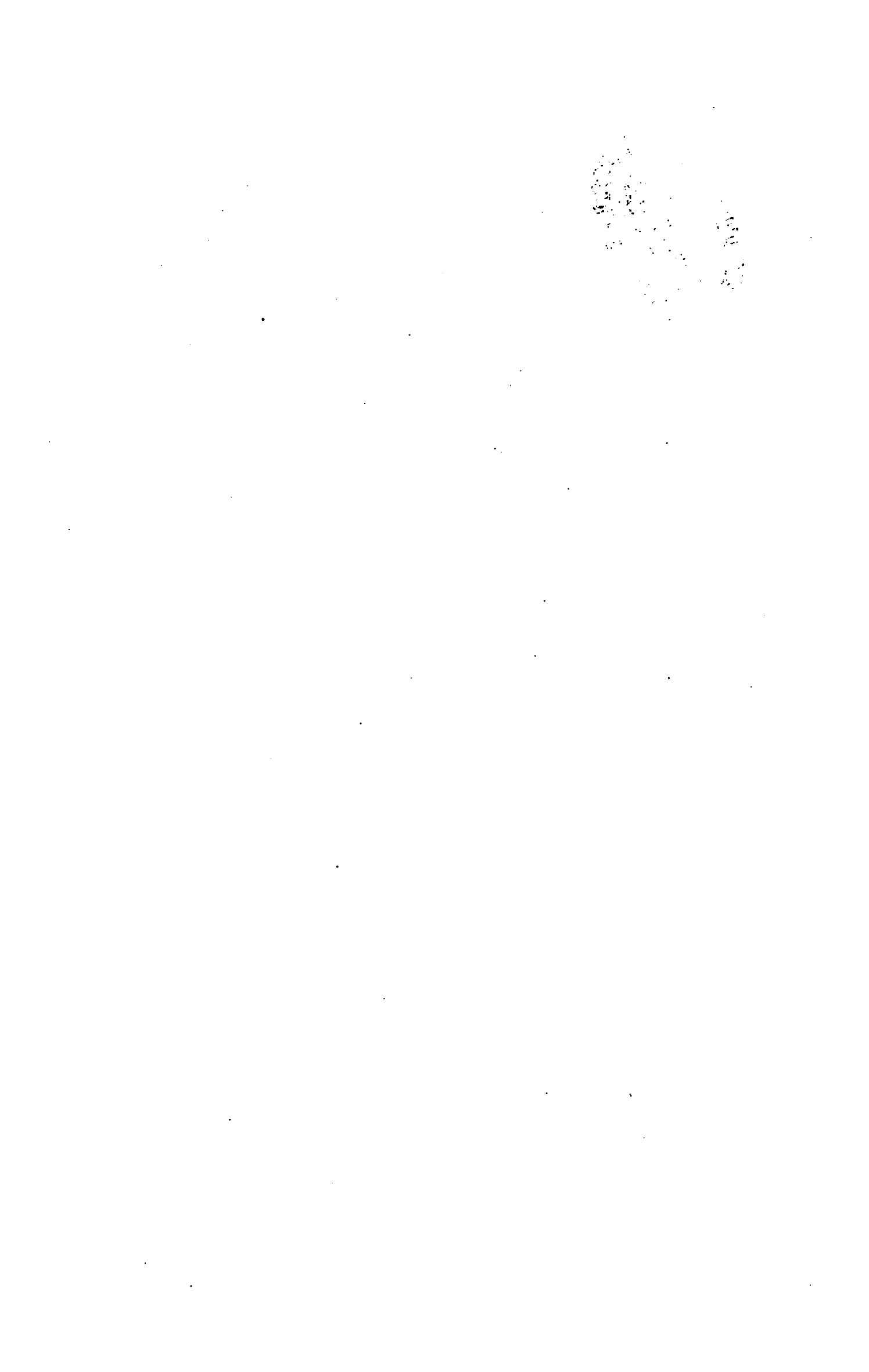 صفحة 1