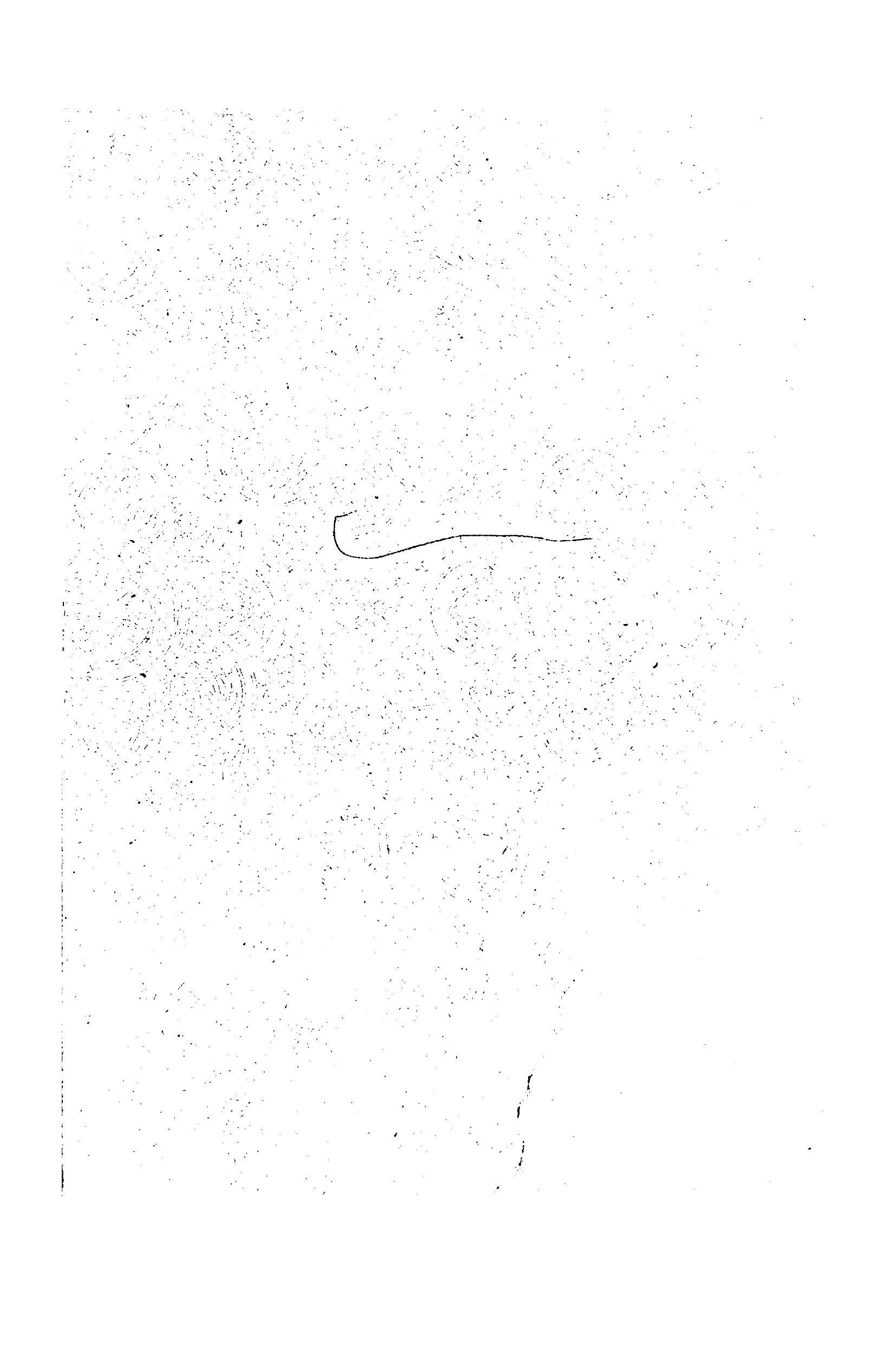 صفحة 1