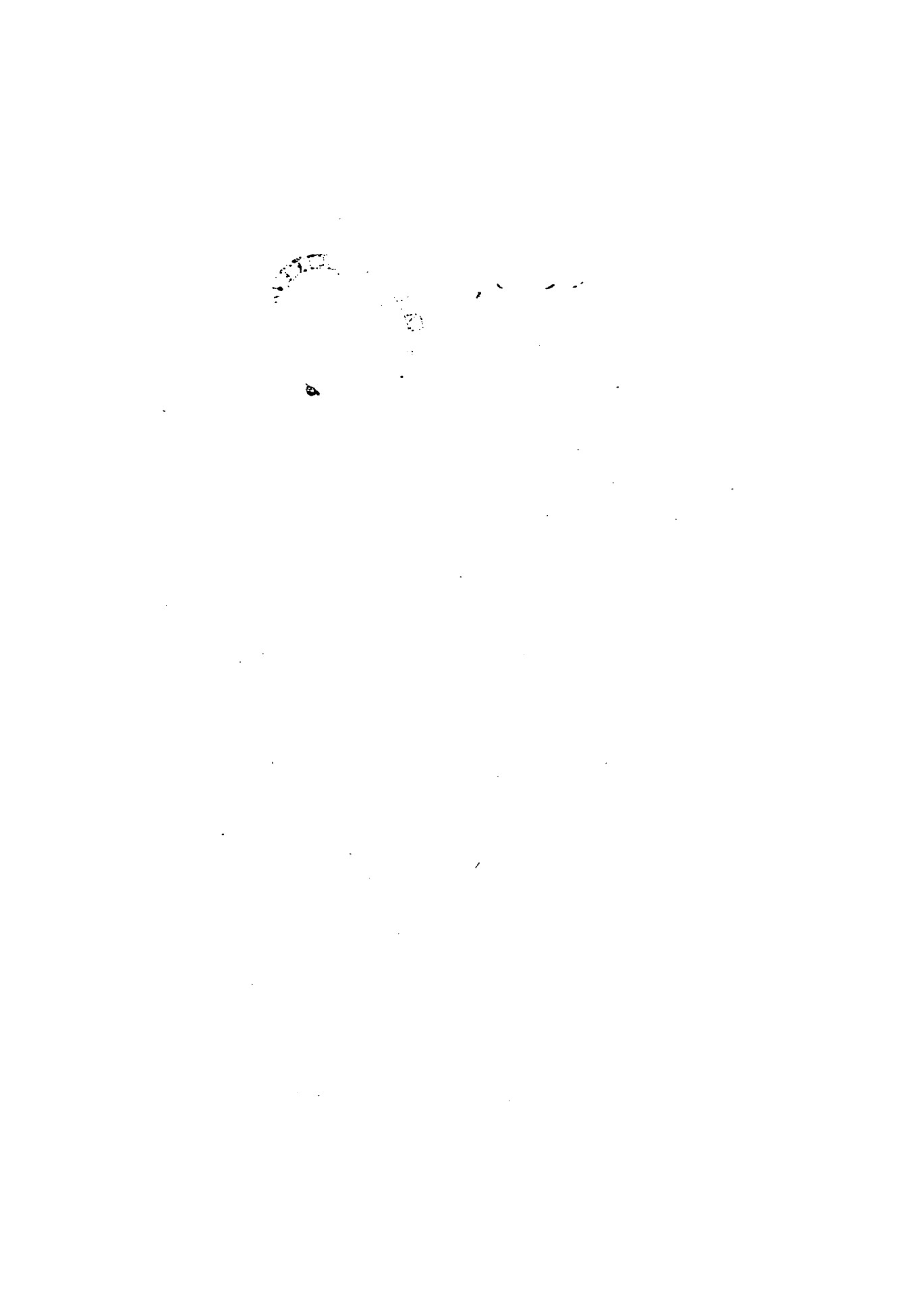 صفحة 1