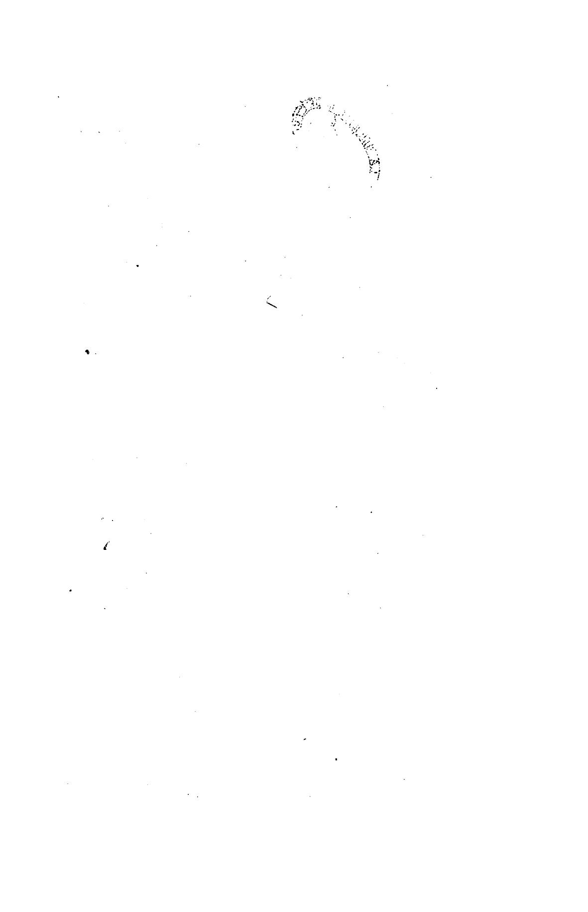 صفحة 1