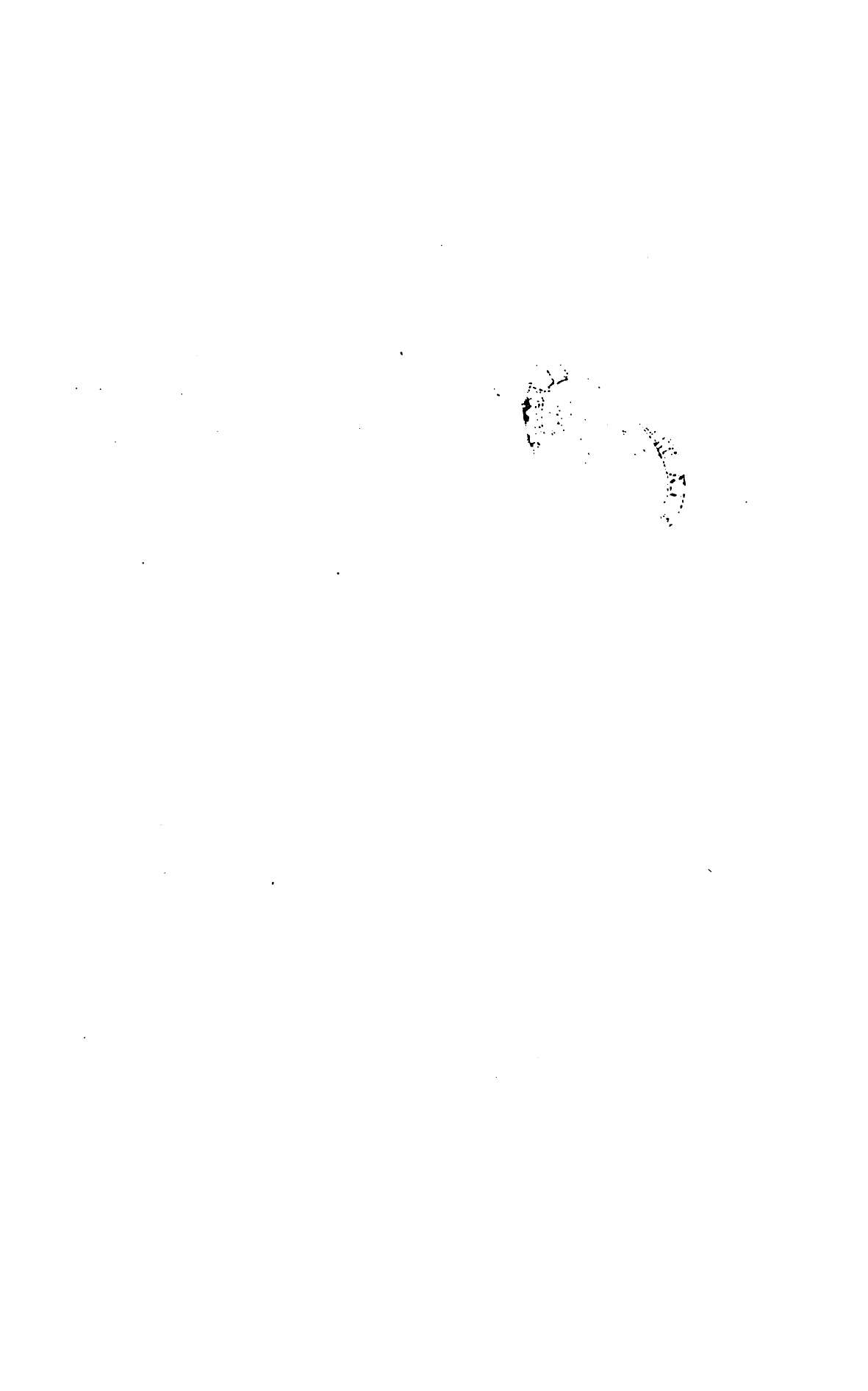 صفحة 1